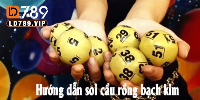 Hướng dẫn soi rồng bạch kim nhanh chóng và hiệu quả nhất 2 Một số phương pháp thống kê soi rồng bạch kim