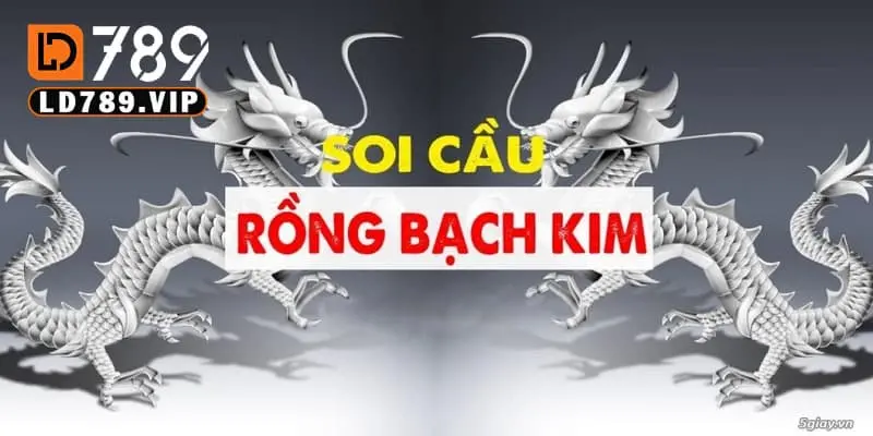 Hướng dẫn soi rồng bạch kim nhanh chóng và hiệu quả nhất 3 Những lưu ý quan trọng khi thực hiện soi rồng bạch kim